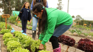 Children catering the land