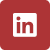 LinkedIn Icon