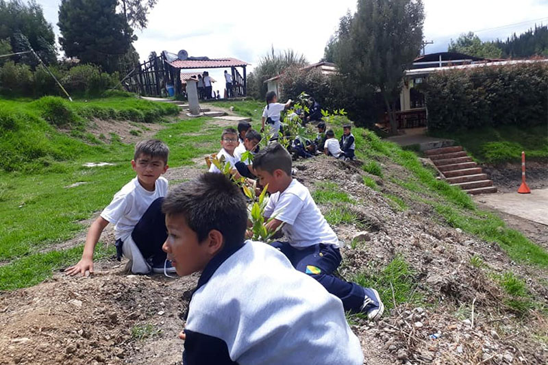 Young students planting saplings along a hillside at their school in Colombia