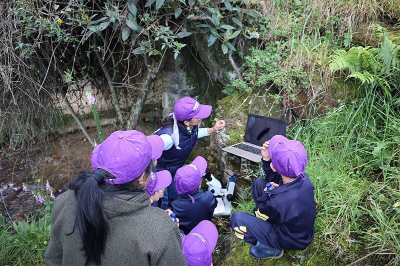 Children wearing purple hats participating in an outdoor science lesson near a stream with a laptop and microscope