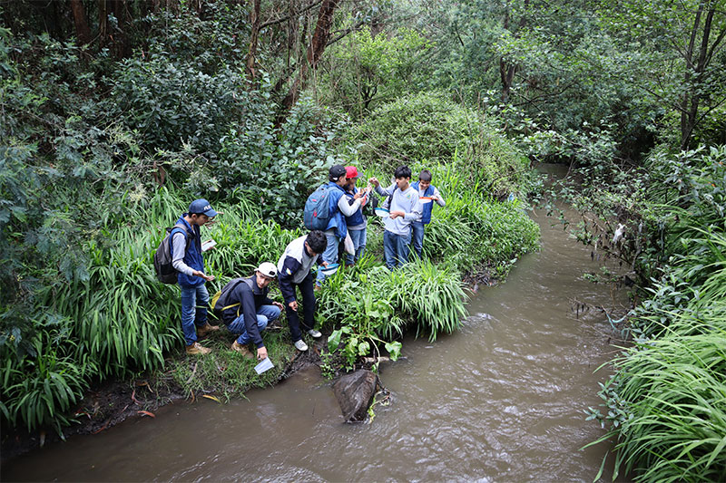 Students conducting fieldwork along a forest stream, taking notes and collecting water samples