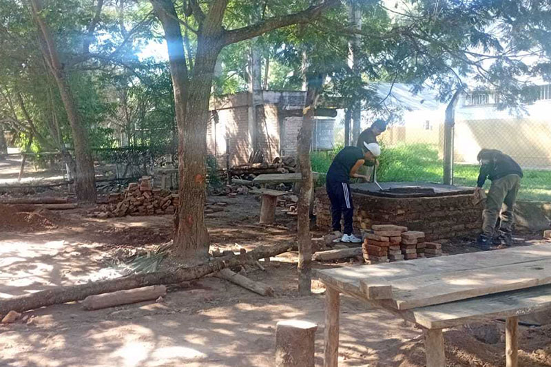 Students constructing or repairing a round garden structure with bricks under tree shade