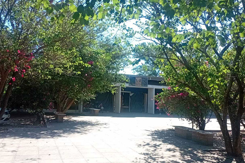 School courtyard with trees, flowering bushes, and entrance to the school building