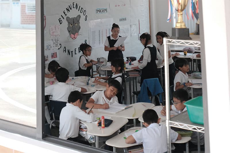 Primary students working in groups inside a classroom decorated with student art