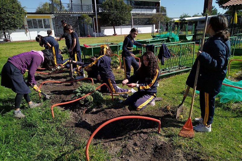 Students working together in the school garden as part of sustainable education