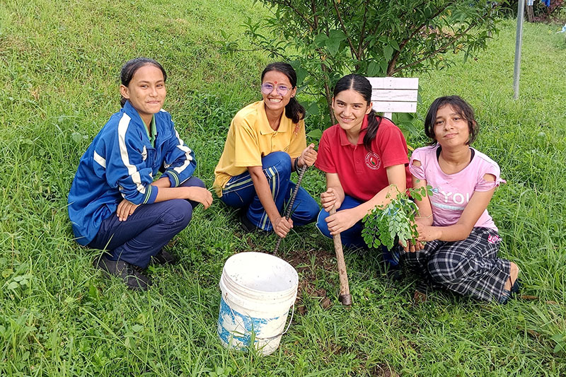 Four girls sitting on grass, smiling while planting a small tree with a white bucket nearby.