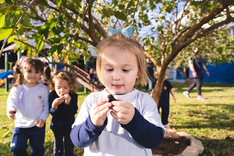 Young children picking and examining berries under a tree in a school garden