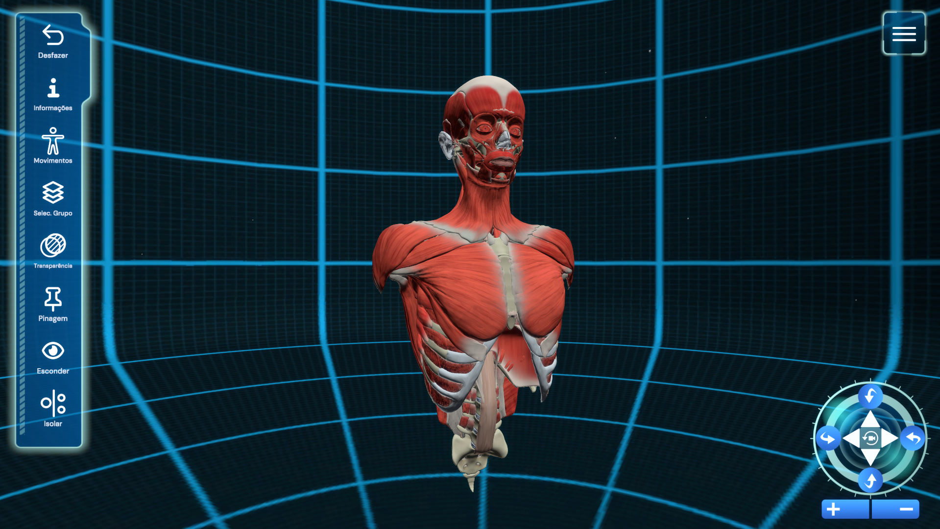 3D Human Anatomy Model Showing Muscular System in Virtual Learning Interface