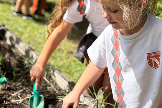 Young kids participating in a gardening activity at school Children working together in a garden with small shovels, focusing on planting and nurturing the soil