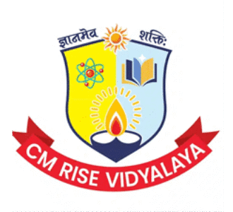 CM RISE Vidyalaya logo – symbol of innovation, knowledge, and empowerment in public education.