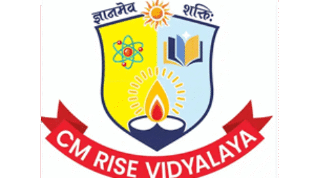 CM RISE Vidyalaya logo – symbol of innovation, knowledge, and empowerment in public education.