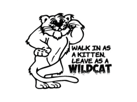 Cartoon wildcat mascot with text “Walk in as a kitten, leave as a wildcat”