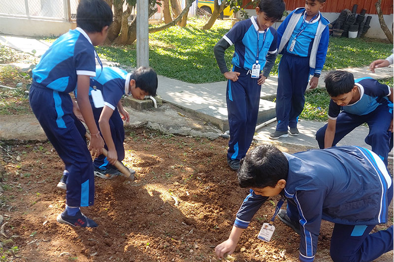 Students preparing soil and planting crops as part of a practical agricultural education and sustainability project.