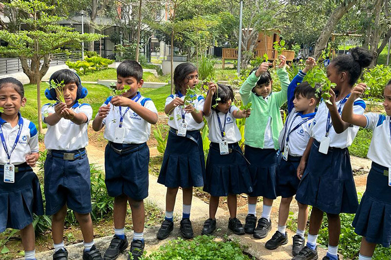 Primary school students observing and collecting plants during an outdoor nature-based learning activity.
