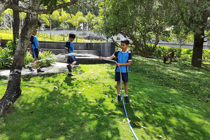 Students watering and maintaining school gardens as part of an environmental stewardship and sustainability programme.