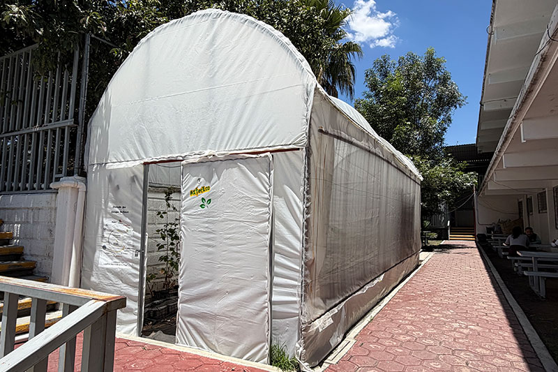 Greenhouse facility on campus used for agricultural education, sustainability projects, and hands-on environmental learning.