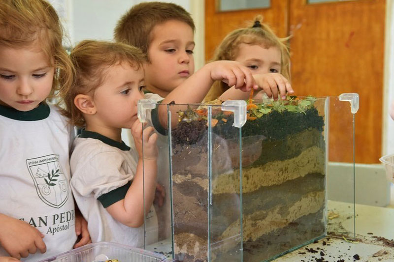Young children participating in a hands-on science activity, exploring soil layers and natural materials in a classroom environment.