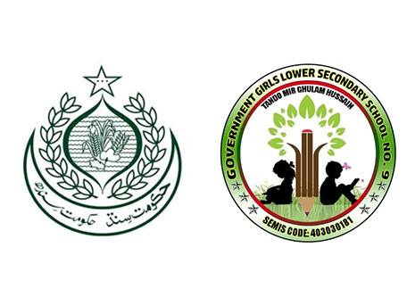 Official logos representing Government Girls Lower Secondary School alongside the national education authority emblem.