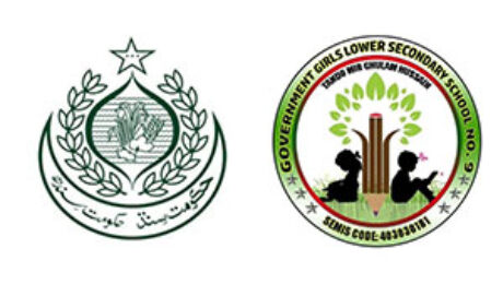 Official logos representing Government Girls Lower Secondary School alongside the national education authority emblem.