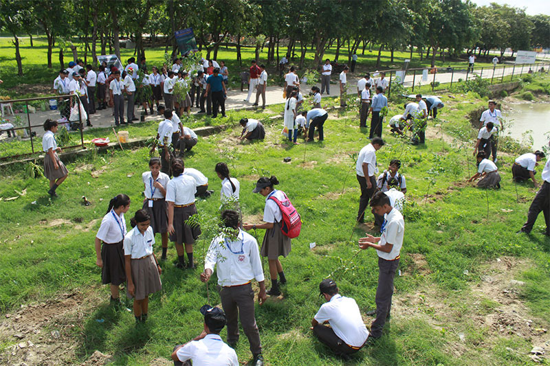 Students taking part in a tree planting and environmental conservation initiative on school grounds